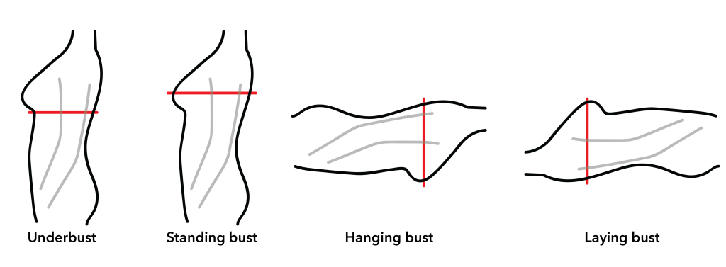 bust measurements