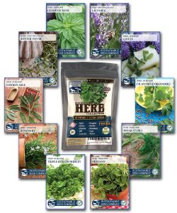 culinary herb seed collection