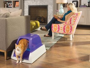 best self cleaning litter box reviews